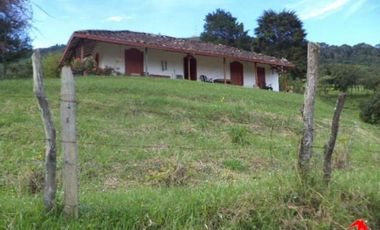 finca en venta en prado. Cod V3556