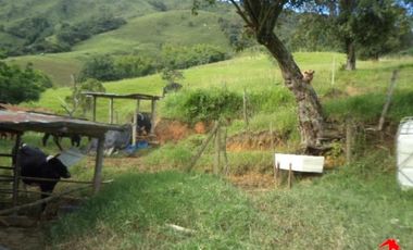 finca en venta en prado. Cod V3556