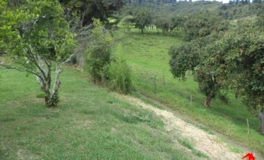 finca en venta en prado. Cod V3556