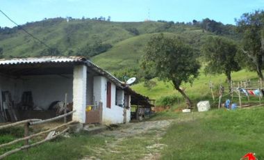 finca en venta en prado. Cod V3556