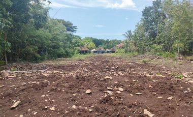 Dekat Exit Tol Sentolo-Jogja: Tanah Mumpung Murah