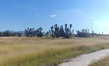 Venta de Terreno en Jesús María