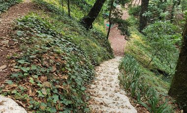 BELLA CASA CON TERRAZA ABIERTA, VISTA AL PUEBLO Y COLINDA CON EL BOSQUE
