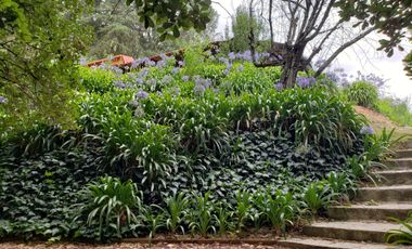 BELLA CASA CON TERRAZA ABIERTA, VISTA AL PUEBLO Y COLINDA CON EL BOSQUE
