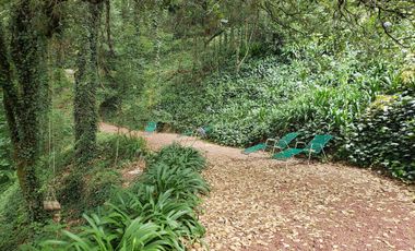 BELLA CASA CON TERRAZA ABIERTA, VISTA AL PUEBLO Y COLINDA CON EL BOSQUE
