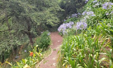 BELLA CASA CON TERRAZA ABIERTA, VISTA AL PUEBLO Y COLINDA CON EL BOSQUE