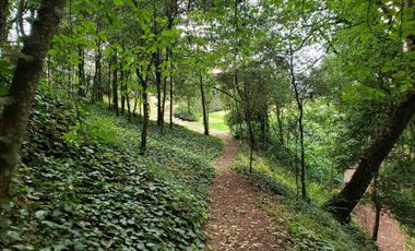 BELLA CASA CON TERRAZA ABIERTA, VISTA AL PUEBLO Y COLINDA CON EL BOSQUE