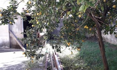 Barbaro Vende Galpón con vivienda en Billinghurst a metros de Av, Eva Perón