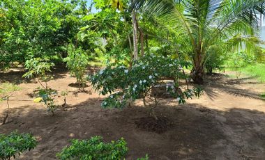 casa campestre en venta en vistas de pradomar. Cod V88011