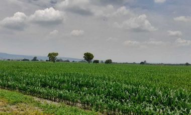 27 hs se venden cerca de San Miguel allende