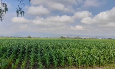 27 hs se venden cerca de San Miguel allende