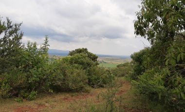 VENTA DE RANCHO 23 km de tepatitlan