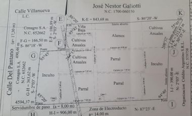 Finca en Venta en Jocolí, Lavalle - Mendoza - Oportunidad Rural 48 Hs