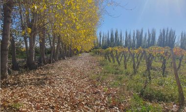 Finca en Venta en Jocolí, Lavalle - Mendoza - Oportunidad Rural 48 Hs