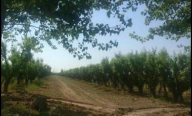 Finca en Venta en Jocolí, Lavalle - Mendoza - Oportunidad Rural 48 Hs