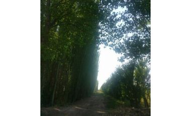 Finca en Venta en Jocolí, Lavalle - Mendoza - Oportunidad Rural 48 Hs