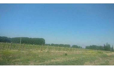 Finca en Venta en Jocolí, Lavalle - Mendoza - Oportunidad Rural 48 Hs