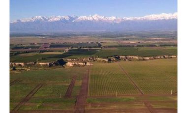Finca en Venta en Jocolí, Lavalle - Mendoza - Oportunidad Rural 48 Hs