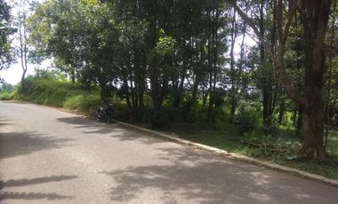 Dijual tanah kebun cengkeh produktif daerah dingin Bojong Purwakarta Jawa Barat