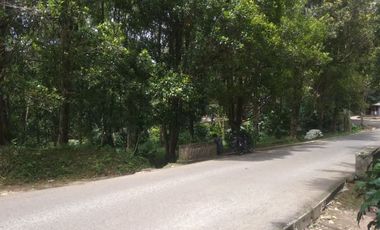 Dijual tanah kebun cengkeh produktif daerah dingin Bojong Purwakarta Jawa Barat