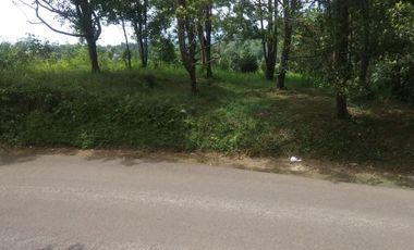Dijual tanah kebun cengkeh produktif daerah dingin Bojong Purwakarta Jawa Barat