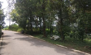 Dijual tanah kebun cengkeh produktif daerah dingin Bojong Purwakarta Jawa Barat