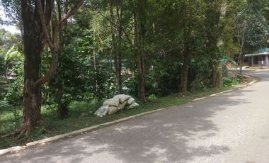 Dijual tanah kebun cengkeh produktif daerah dingin Bojong Purwakarta Jawa Barat