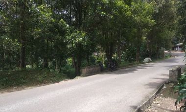 Dijual tanah kebun cengkeh produktif daerah dingin Bojong Purwakarta Jawa Barat