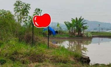 Tanah Kawasan Industri Cimareme Padalarang Bandung Barat