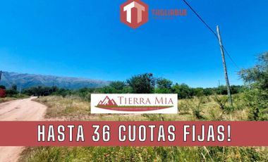 Tierra Mia - Lote 118