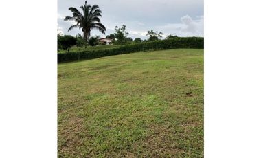 VENTA DE TERRENO EN LA CHORRERA HACIENDA SANTA DOMENICA (NT) 3400 mts2