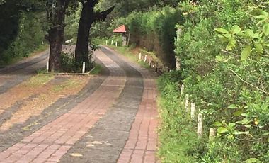 Hermoso Terreno con Cabaña en Venta en Zirahuén