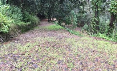 Hermoso Terreno con Cabaña en Venta en Zirahuén