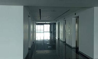 Excelente Oficina Acondicionada en Renta 4494m2. La Viga