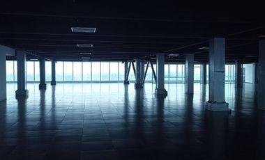 Excelente Oficina Acondicionada en Renta 4494m2. La Viga