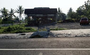Tanah Murah Strategis Pinggir Jalan Raya Utama Palagan Km. 12,5