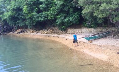 BEACH LOT PROPERTY FOR SALE IN GUIMARAS