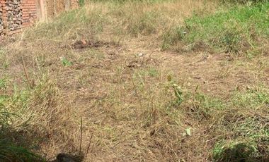 local en venta en centro. Cod V25414