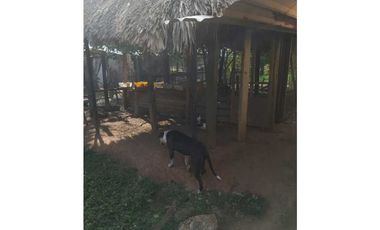 VENTA DE 6.5 HECTAREAS CON CASA CAMPESTRE VIA GUATEQUE