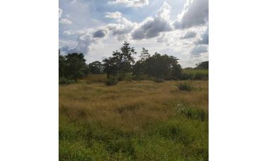 VENTA DE 6.5 HECTAREAS CON CASA CAMPESTRE VIA GUATEQUE