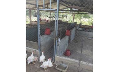 VENTA DE 6.5 HECTAREAS CON CASA CAMPESTRE VIA GUATEQUE