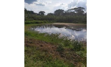 VENTA DE 6.5 HECTAREAS CON CASA CAMPESTRE VIA GUATEQUE