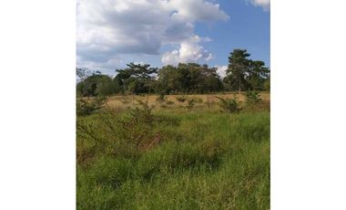 VENTA DE 6.5 HECTAREAS CON CASA CAMPESTRE VIA GUATEQUE