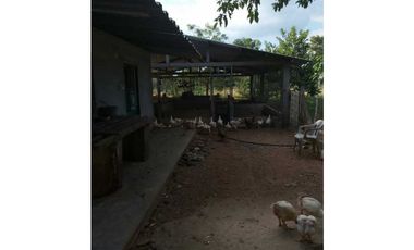 VENTA DE 6.5 HECTAREAS CON CASA CAMPESTRE VIA GUATEQUE