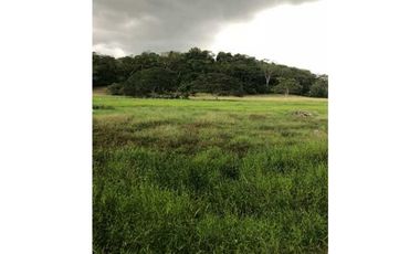 VENTA DE 6.5 HECTAREAS CON CASA CAMPESTRE VIA GUATEQUE