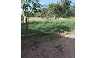 VENTA DE 6.5 HECTAREAS CON CASA CAMPESTRE VIA GUATEQUE