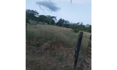 VENTA DE 6.5 HECTAREAS CON CASA CAMPESTRE VIA GUATEQUE