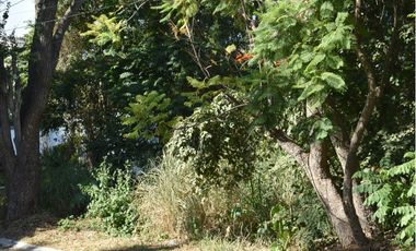 LAS CAÑADAS - AMPLIO LOTE SEMIPLANO