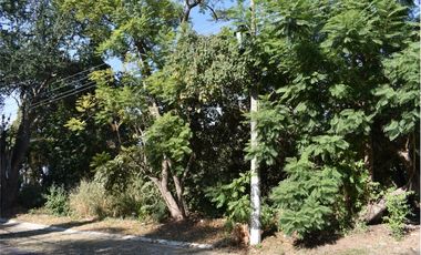 LAS CAÑADAS - AMPLIO LOTE SEMIPLANO