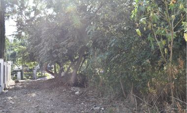 LAS CAÑADAS - AMPLIO LOTE SEMIPLANO